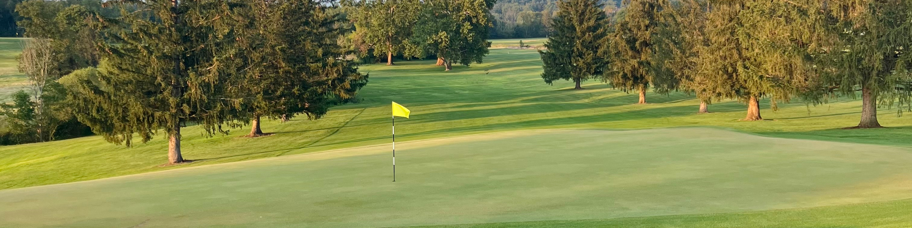 Image of golf ball on tee on grass.